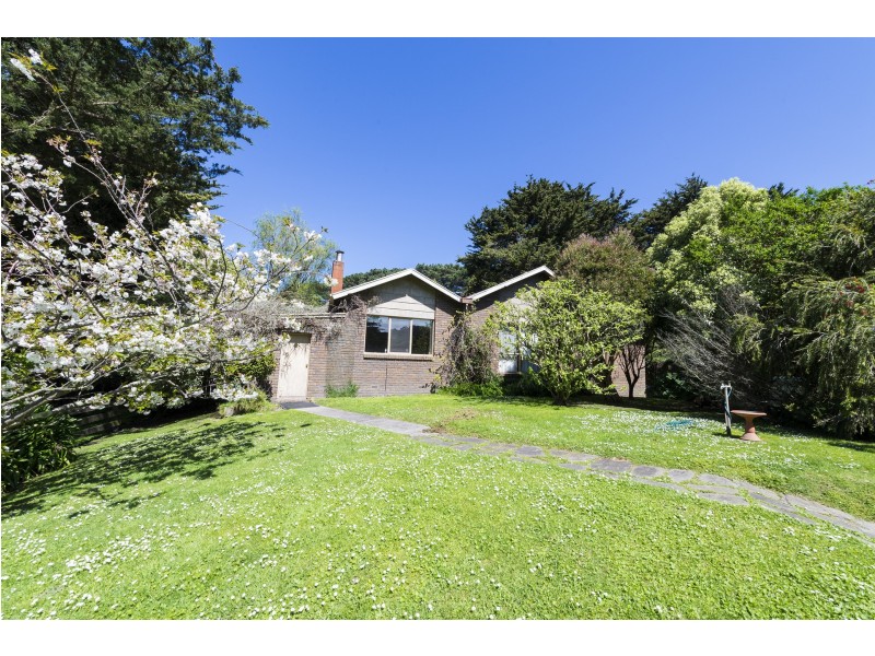Lot 1/200 Busty Road, Apollo Bay VIC 3233