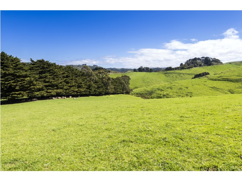 Lot 1/200 Busty Road, Apollo Bay VIC 3233