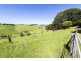 Lot 1/200 Busty Road, Apollo Bay VIC 3233