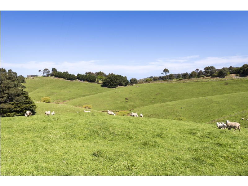 Lot 1/200 Busty Road, Apollo Bay VIC 3233