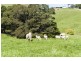 Lot 1/200 Busty Road, Apollo Bay VIC 3233