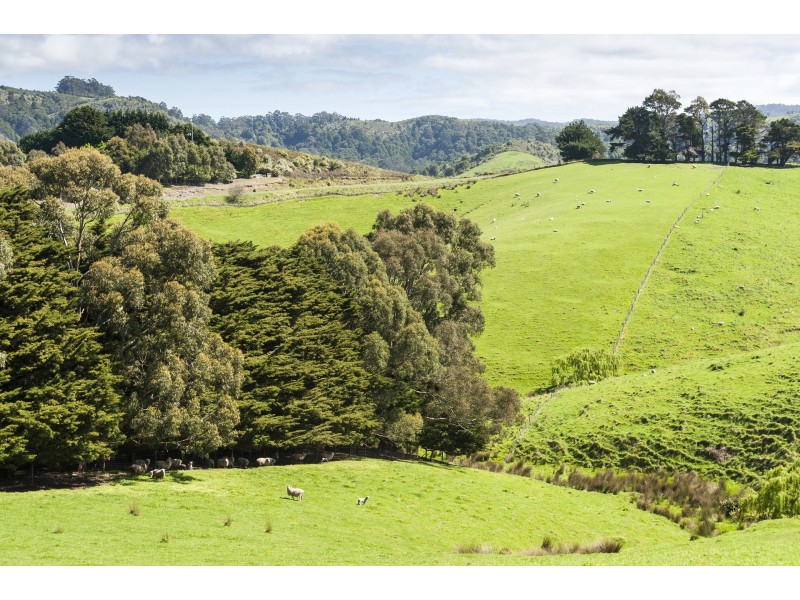 Lot 1/200 Busty Road, Apollo Bay VIC 3233