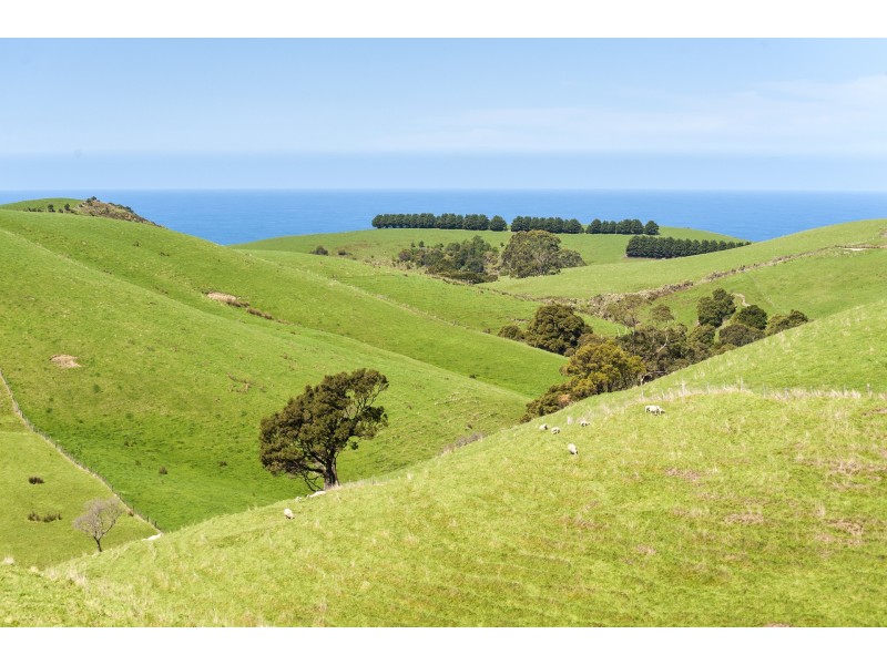 Lot 1/200 Busty Road, Apollo Bay VIC 3233