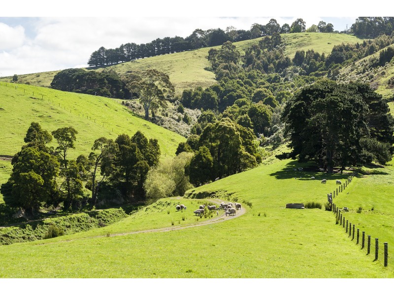 Lot 1/200 Busty Road, Apollo Bay VIC 3233