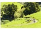 Lot 1/200 Busty Road, Apollo Bay VIC 3233