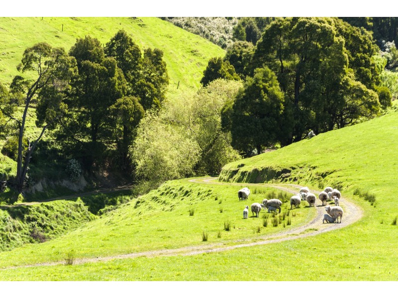 Lot 1/200 Busty Road, Apollo Bay VIC 3233