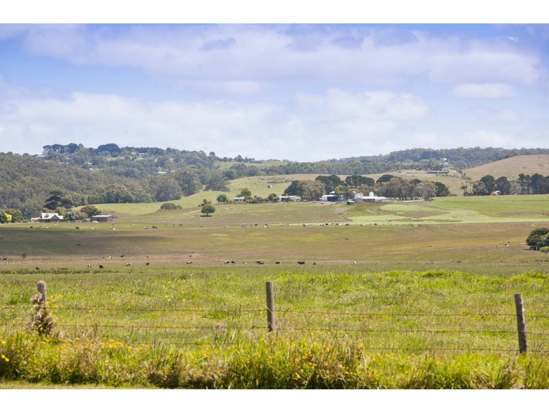 20 Seymour Crescent, Apollo Bay VIC 3233