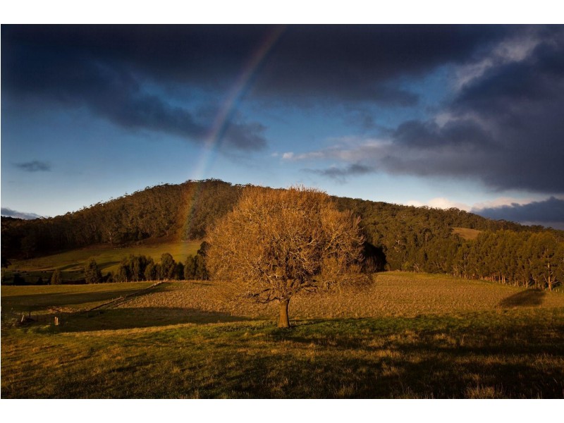 9 Smiths Lane, Gellibrand VIC 3239