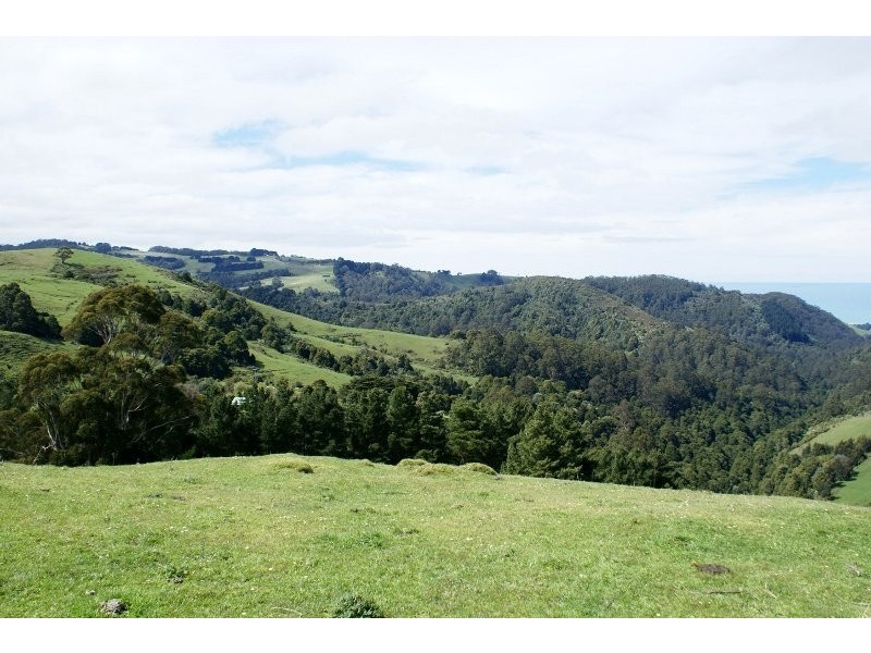 700 Wild Dog Road, Apollo Bay VIC 3233