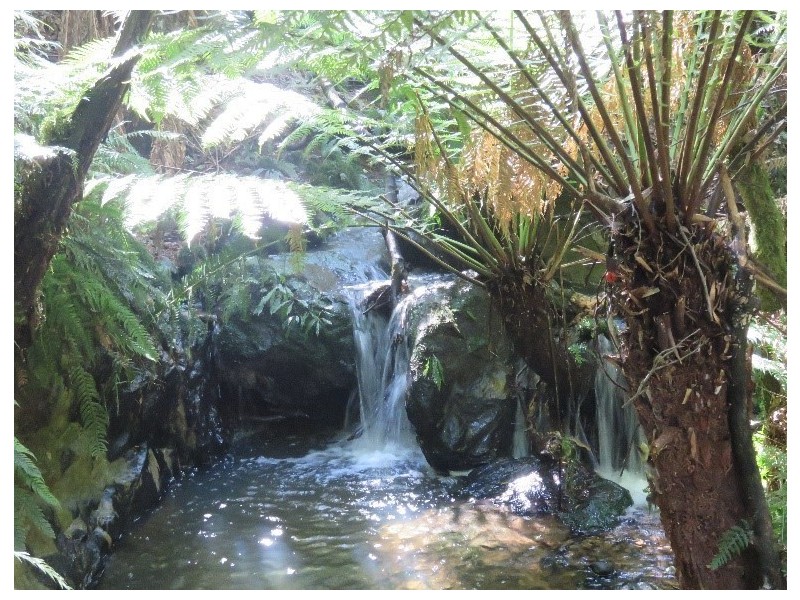 115 Knowledge Track, Yuulong VIC 3237