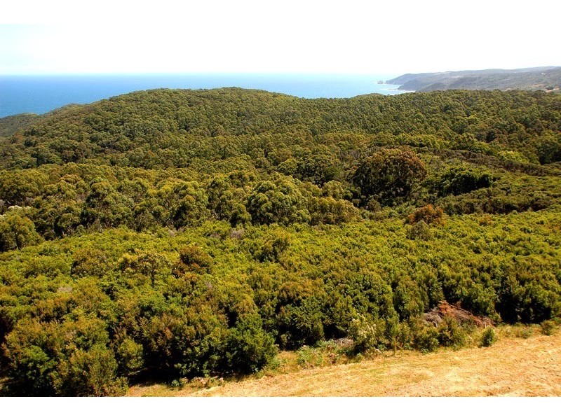 225 Melanesia Track, Yuulong VIC 3237