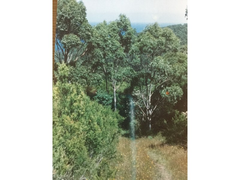 225 Melanesia Track, Yuulong VIC 3237