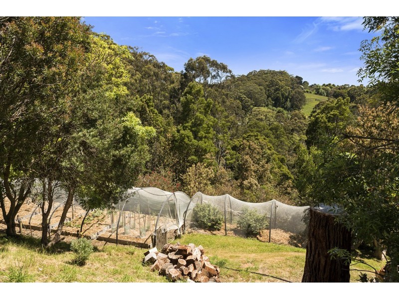 40 Jansil Court, Apollo Bay VIC 3233