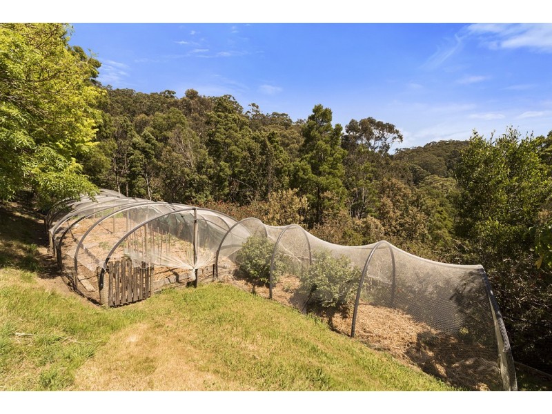 40 Jansil Court, Apollo Bay VIC 3233