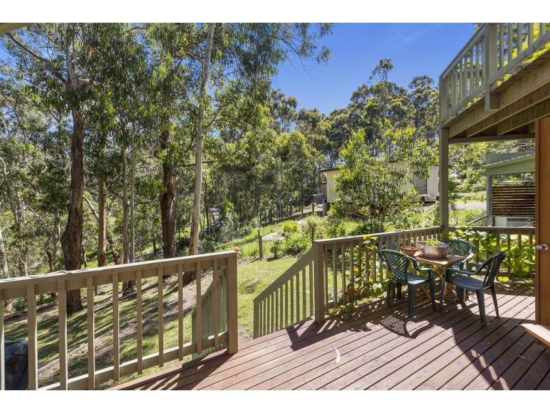 65 Old Coach Road, Skenes Creek VIC 3233