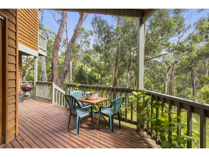 65 Old Coach Road, Skenes Creek VIC 3233