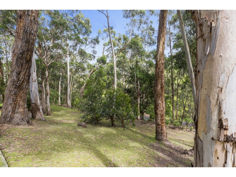 65 Old Coach Road, Skenes Creek VIC 3233