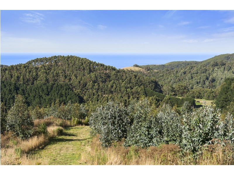 505 Blue Johanna Road, Johanna VIC 3238