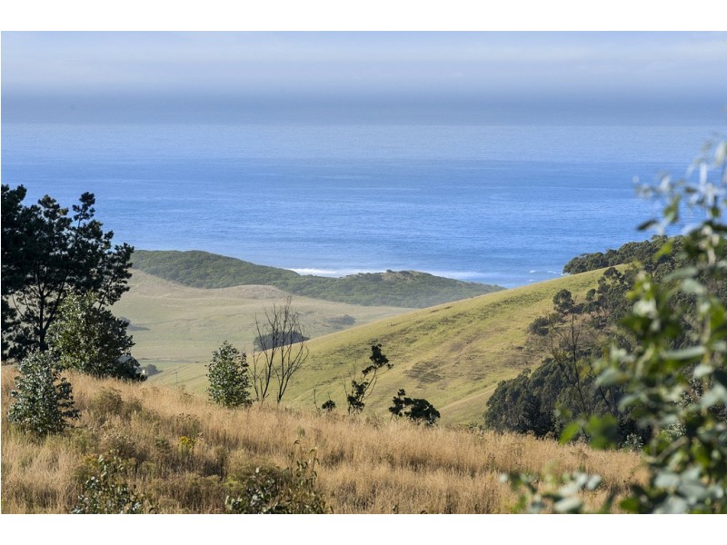 505 Blue Johanna Road, Johanna VIC 3238