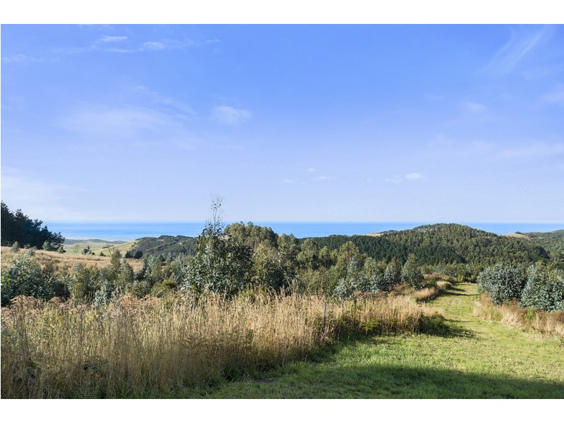 505 Blue Johanna Road, Johanna VIC 3238