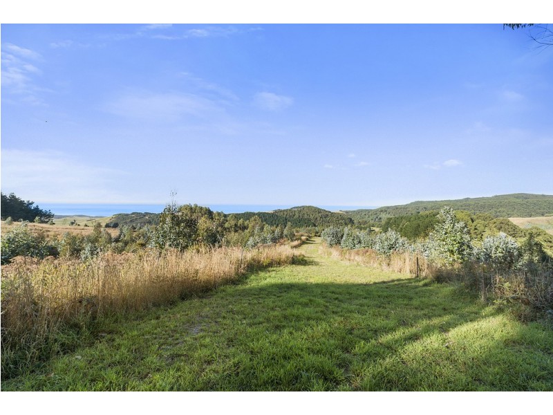 505 Blue Johanna Road, Johanna VIC 3238