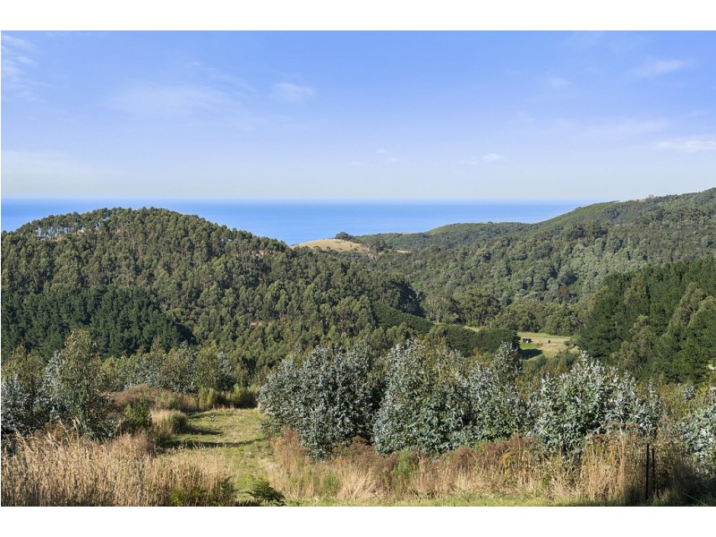 505 Blue Johanna Road, Johanna VIC 3238