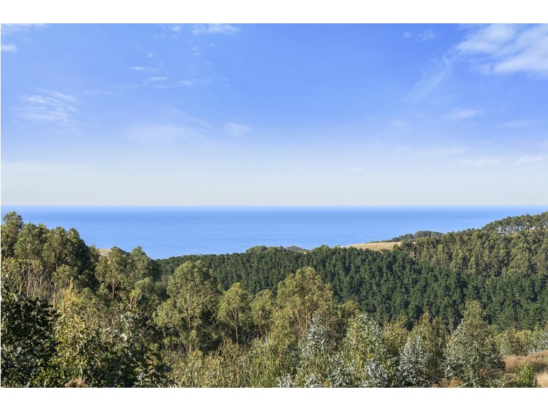 505 Blue Johanna Road, Johanna VIC 3238