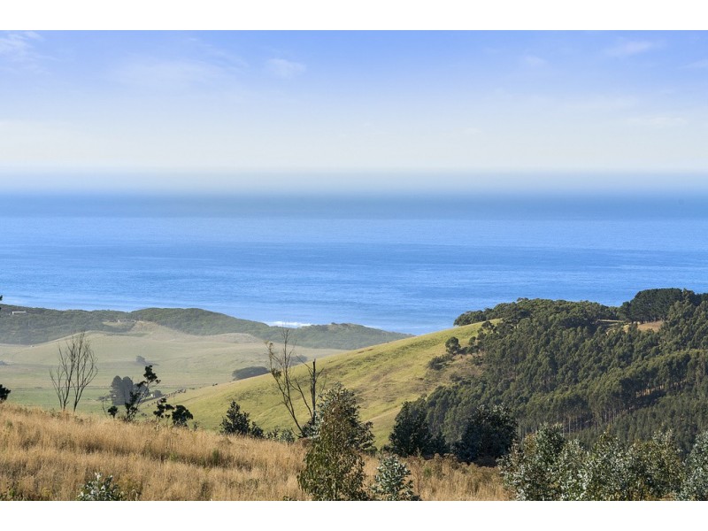 505 Blue Johanna Road, Johanna VIC 3238