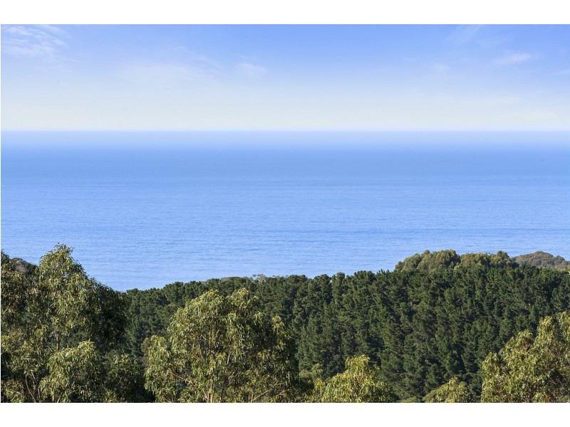 505 Blue Johanna Road, Johanna VIC 3238