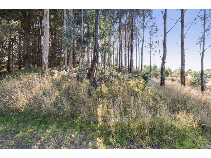 505 Blue Johanna Road, Johanna VIC 3238