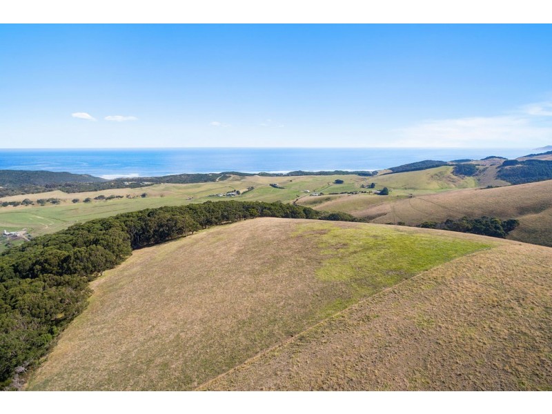 305 Red Johanna Road, Johanna VIC 3238