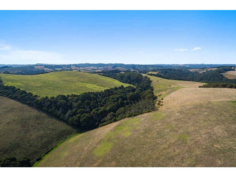 305 Red Johanna Road, Johanna VIC 3238