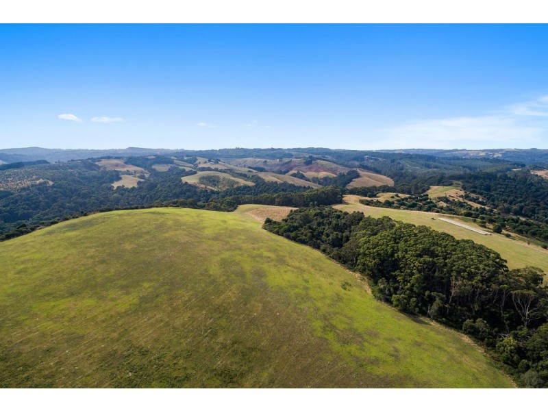 305 Red Johanna Road, Johanna VIC 3238