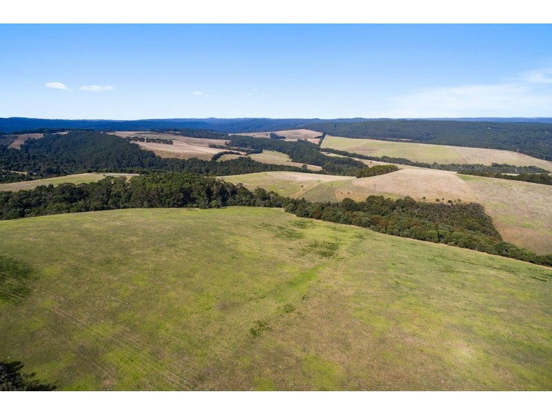 305 Red Johanna Road, Johanna VIC 3238