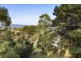 35 Alice Court, Marengo VIC 3233