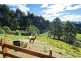 35 Alice Court, Marengo VIC 3233