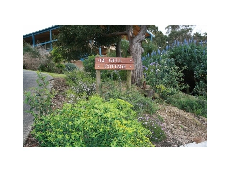 12 Vista Avenue, Skenes Creek VIC 3233