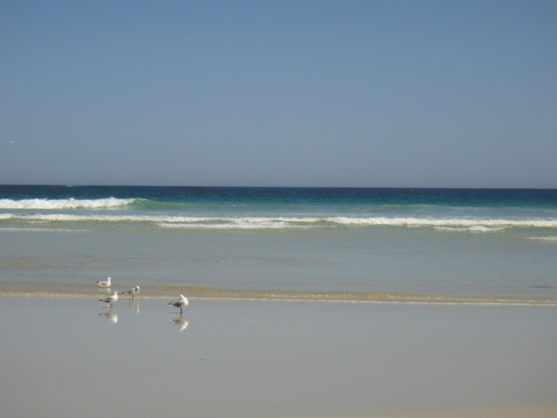 Lot 5 Barnes Road, Loorana TAS 7256