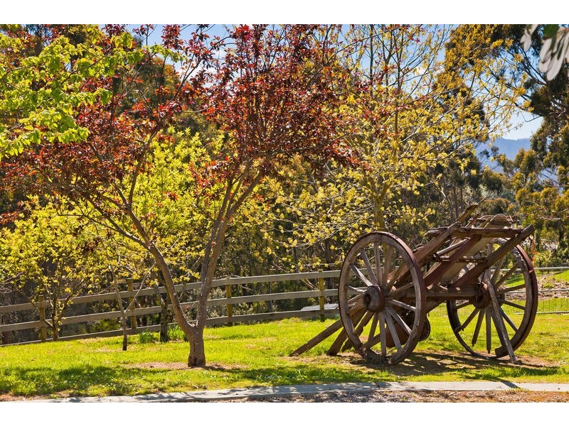 855 Great Ocean Road (Marengo), Apollo Bay VIC 3233