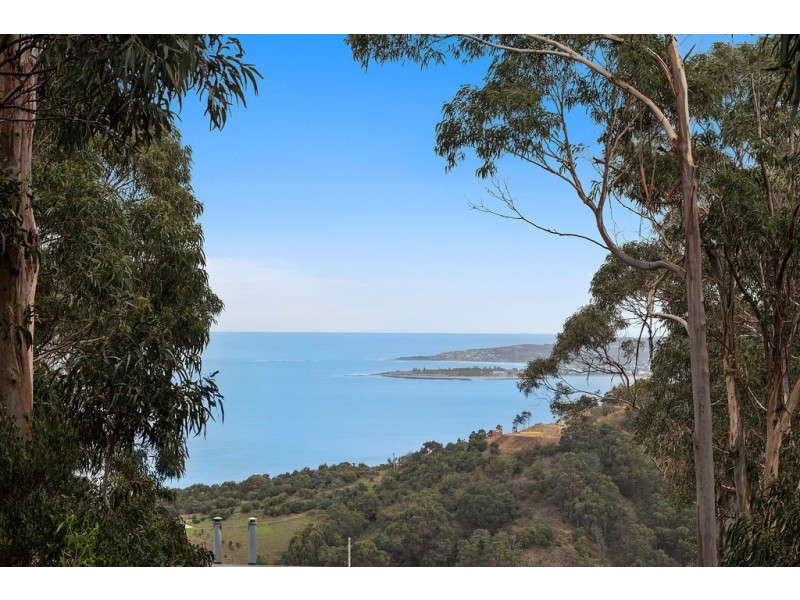 9/270 Skenes Creek Road, Apollo Bay VIC 3233