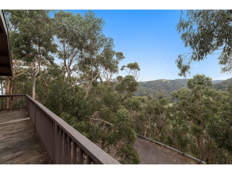 9/270 Skenes Creek Road, Apollo Bay VIC 3233