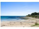 3 Harrison Street, Marengo VIC 3233