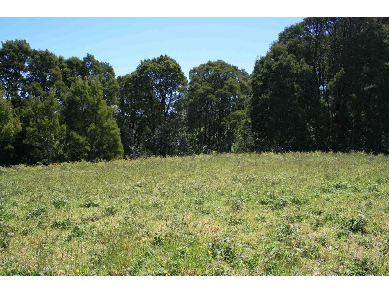 Lot 9 Dehnerts Track, Beech Forest VIC 3237