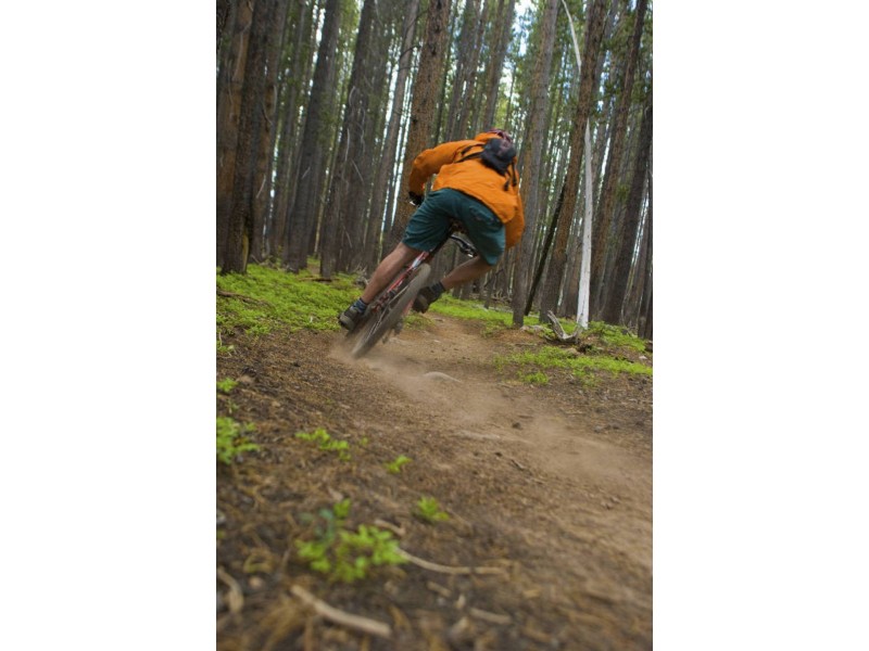 Lot 9 Dehnerts Track, Beech Forest VIC 3237