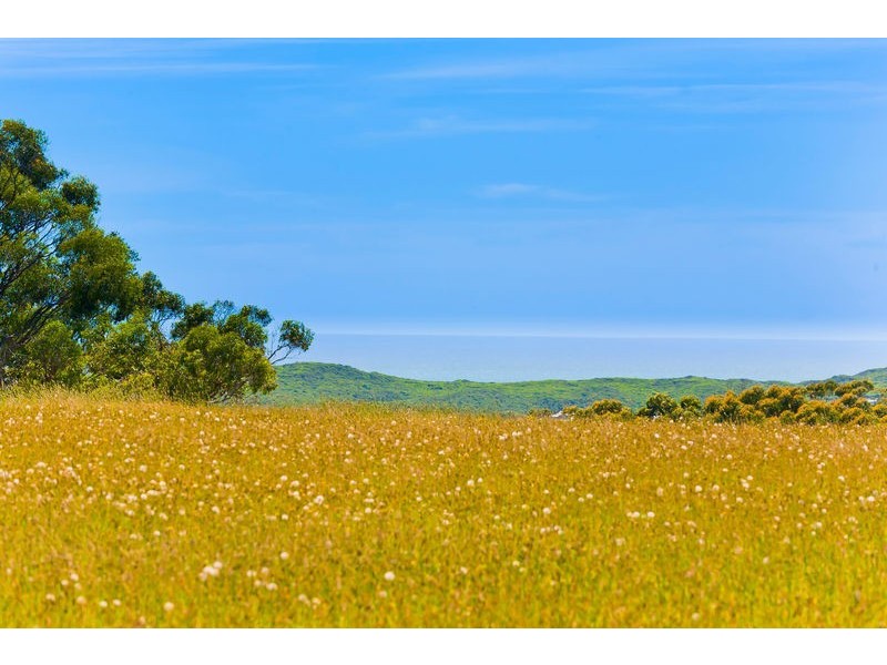 7357  Great Ocean Road, Princetown VIC 3269