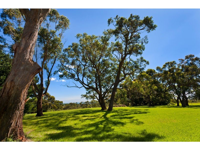7357  Great Ocean Road, Princetown VIC 3269