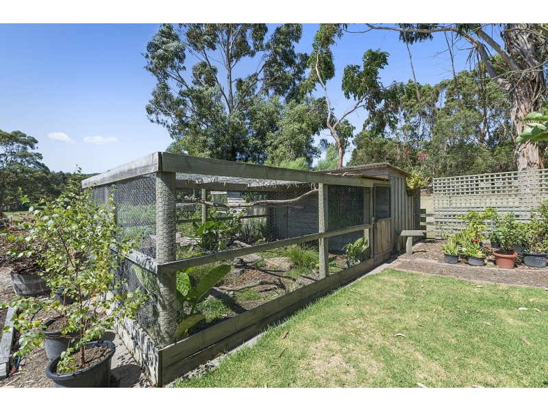 303 Barham River Road, Apollo Bay VIC 3233