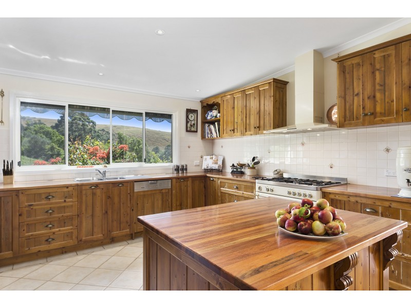 303 Barham River Road, Apollo Bay VIC 3233