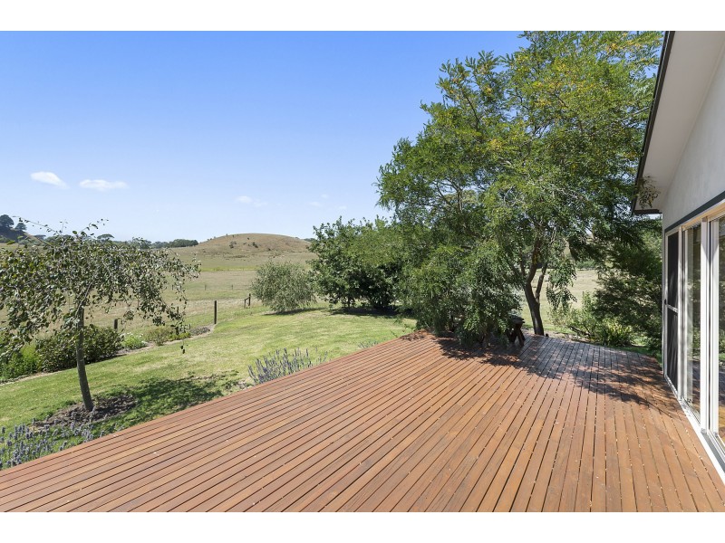 303 Barham River Road, Apollo Bay VIC 3233