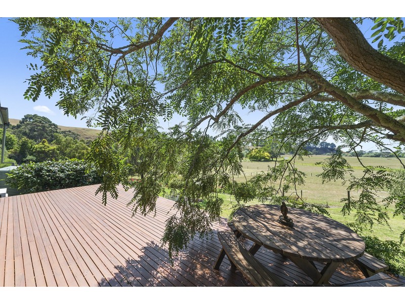 303 Barham River Road, Apollo Bay VIC 3233